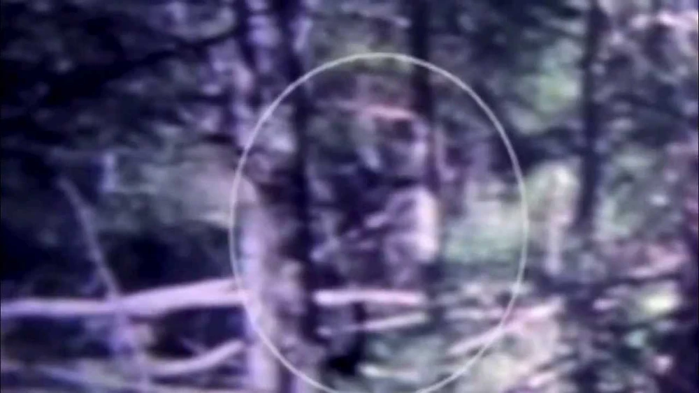 Honey Island Swamp and Its Monster — 3