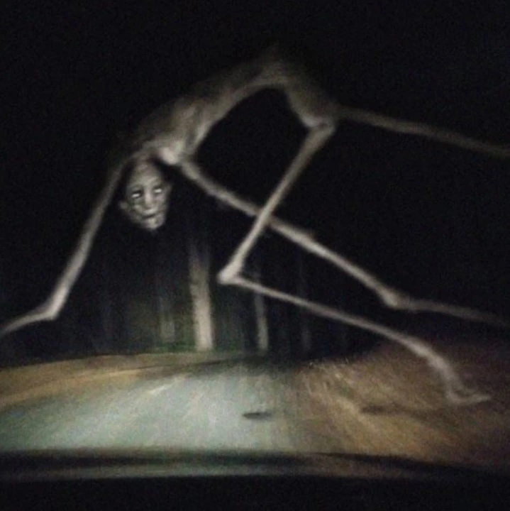 Country Road Creature