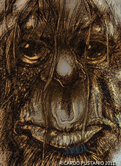 Honey Island Swamp and Its Monster