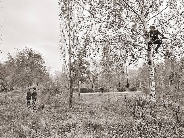 Voronezh and the Landing in the Park
