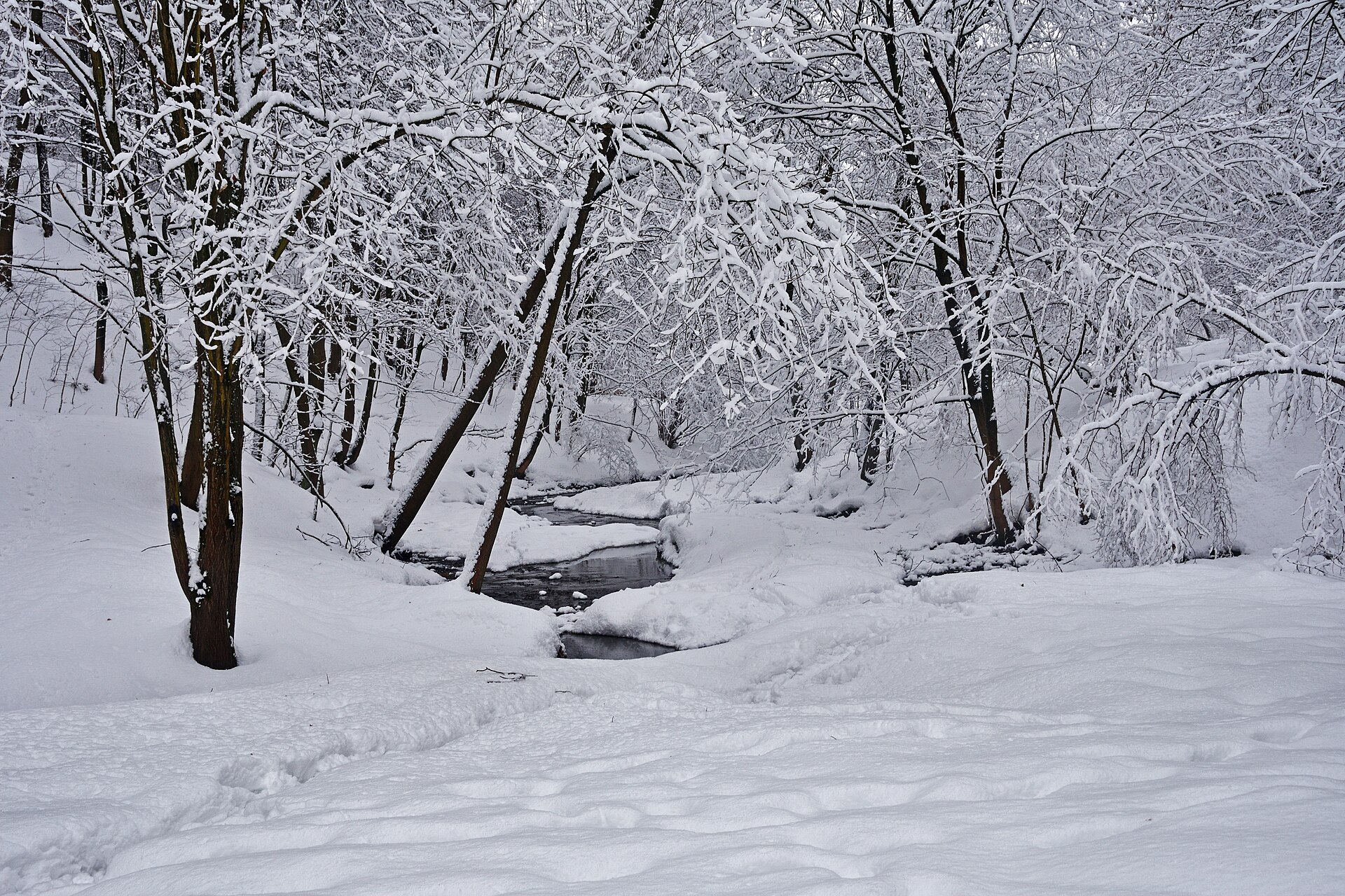 Golosov Ravine