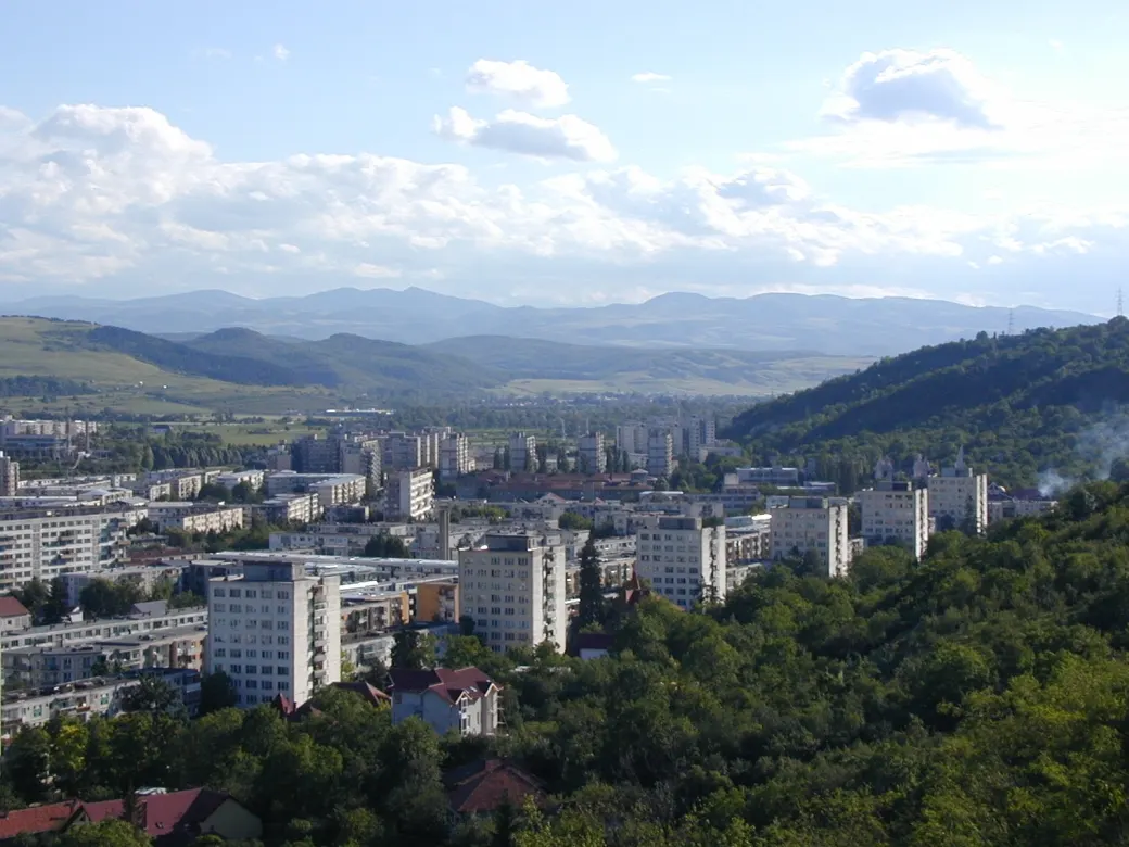 Hoia-Baciu-Wald