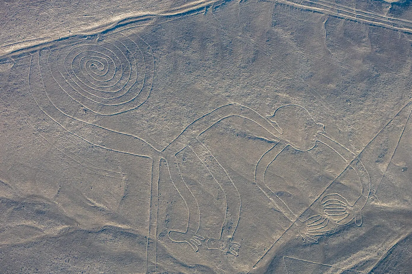 Nazca-Linien