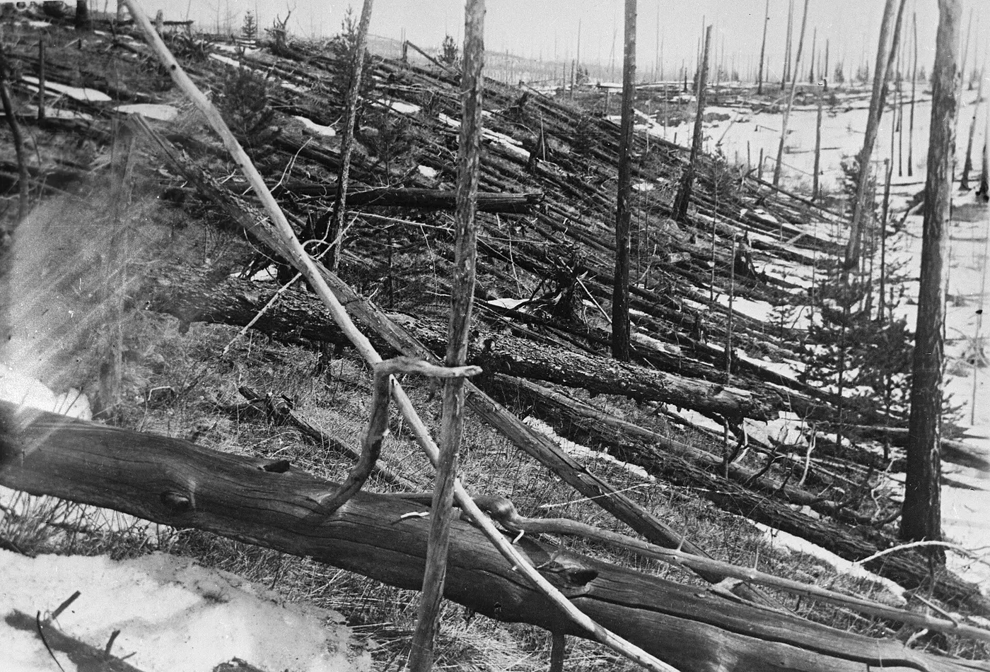 Tunguska Event