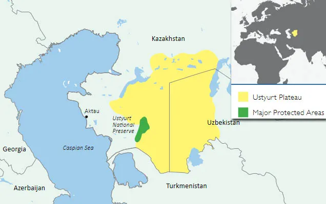 The Ustyurt Plateau