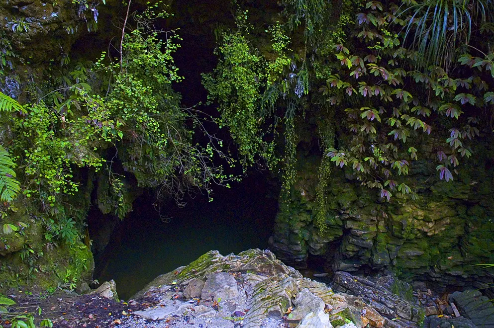 Jaskinie Waitomo